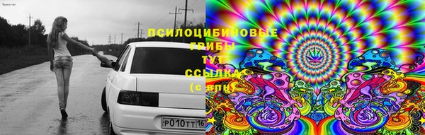 мдпв Богородицк