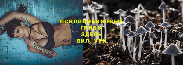 хмурый Хадыженск