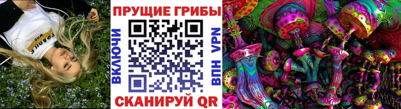 Галлюциногенные грибы ЛСД  Новокузнецк 