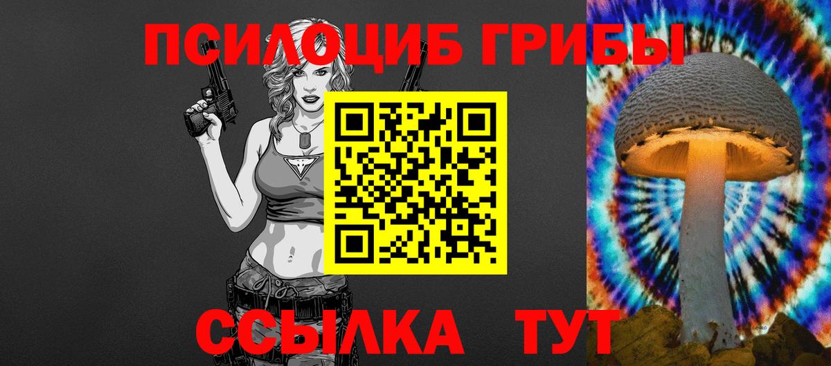 Псилоцибиновые грибы Psilocybe  Новокузнецк 